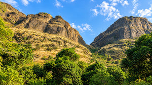 NIMGIRI FORT TREK