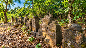 NIMGIRI FORT TREK