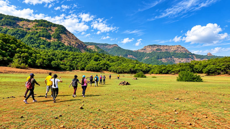 VASOTA FORT TREK